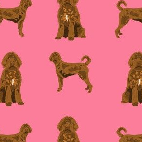 apricot labradoodle fabric - doodle dog fabric -pink