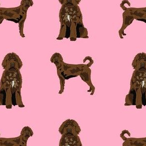 chocolate labradoodle fabric - dog fabric, doodle dog -  pink