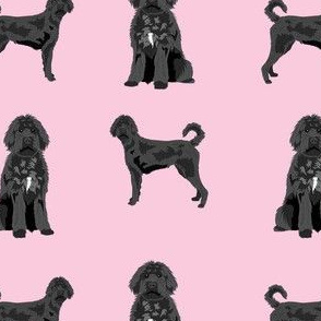black labradoodle fabric - dog fabric, doodle dog - pink