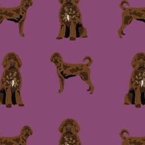 chocolate labradoodle fabric - dog fabric, doodle dog - dark purple