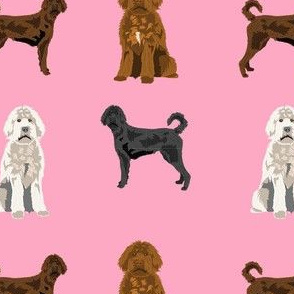 labradoodle fabric - dog fabric, doodle dog - pink