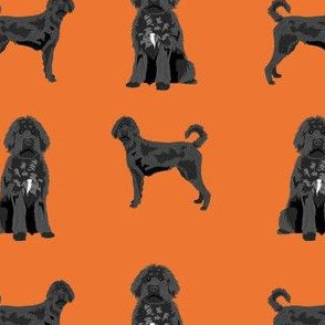 black labradoodle fabric - dog fabric, doodle dog - orange