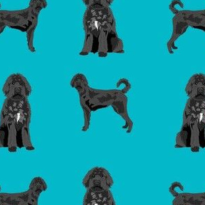 black labradoodle fabric - dog fabric, doodle dog - teal