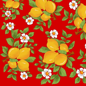 Citrus pattern,lemons,fruits design,red background .