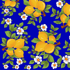 Citrus pattern,lemons,fruits design,Sicilian style art
