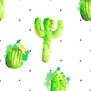  cactuses