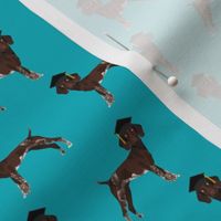 gsp graduation fabric - german shorthaired pointer fabric - teal