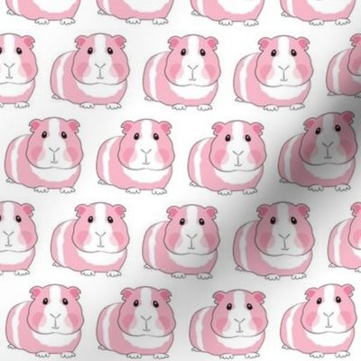 pink guinea pigs