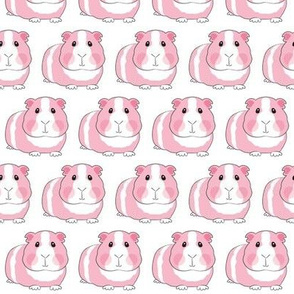 pink guinea pigs