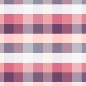 Cherry Jelly Gingham V01