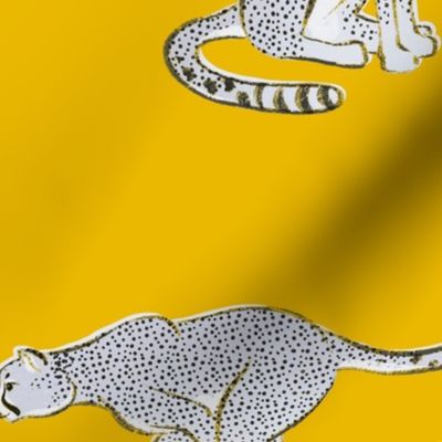 Cheetahs on Yellow