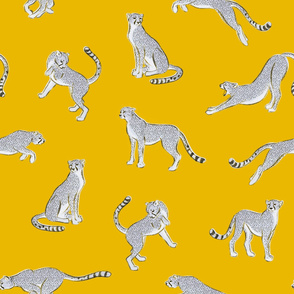 Cheetahs on Yellow