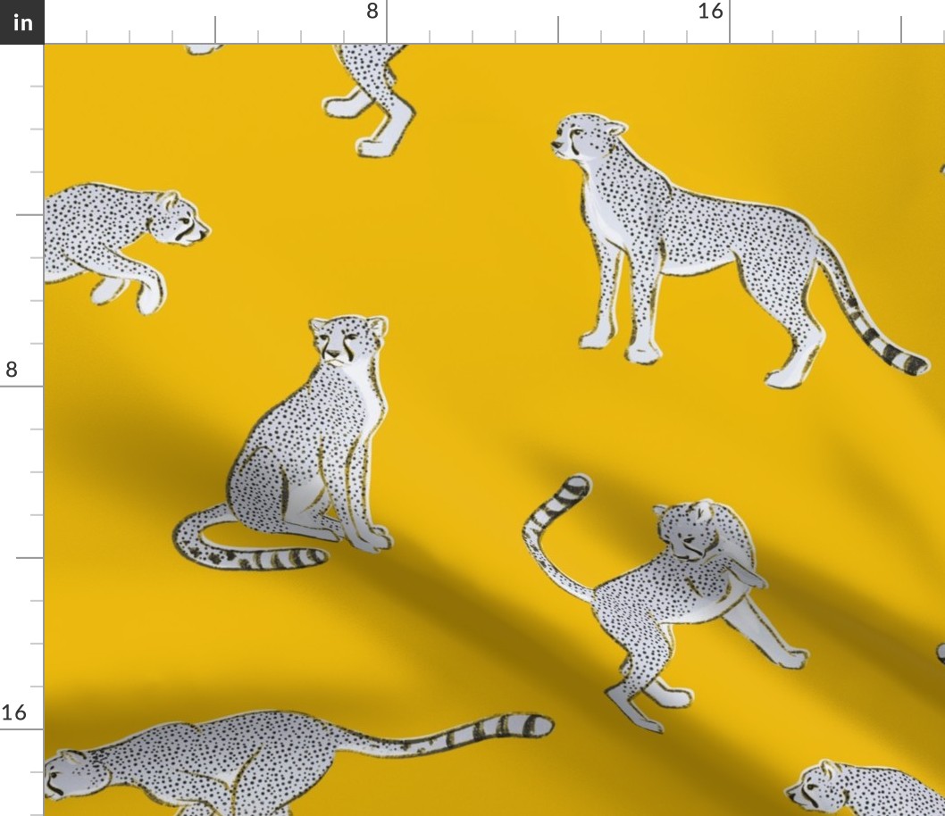 Cheetahs on Yellow