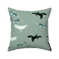 Arctic Whales on Soft Grey-Green Background