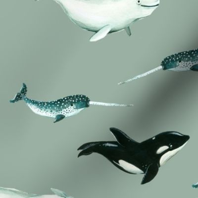 Arctic Whales on Soft Grey-Green Background