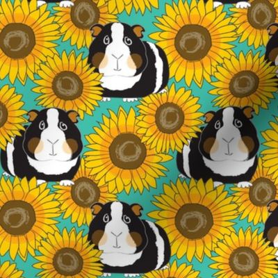 large guinea pigs and sunflowers on teal