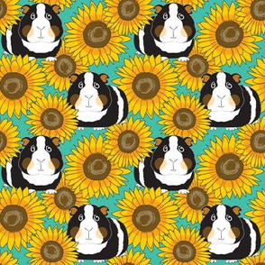 medium guinea pigs and sunflowers on teal