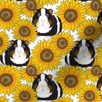 large guinea pigs and sunflowers on white