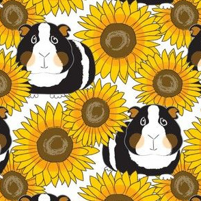 large guinea pigs and sunflowers on white