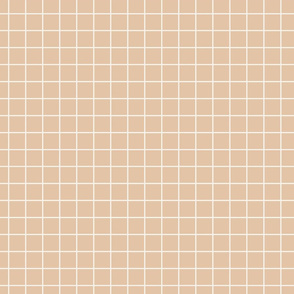 1 inch modern grid minimal aesthetic - Barely Apricot