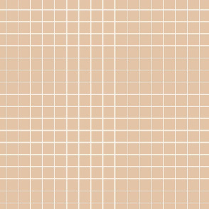 1 inch grid // Barely Apricot grid