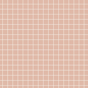 1 inch modern grid minimal aesthetic - Pink Villa