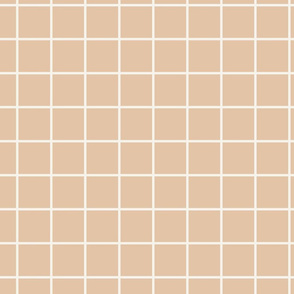 2 inch grid // Barely Apricot grid