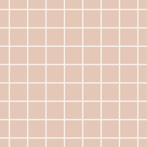 2 inch modern grid minimal aesthetic -  Barely Blush Pink
