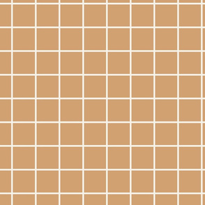 2 inch grid // Claypot grid