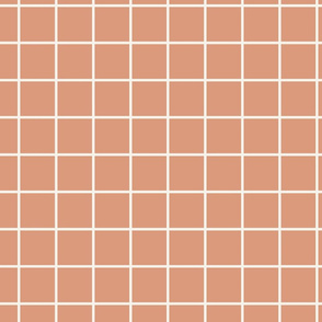 2 inch modern grid minimal aesthetic - Peach Bloom