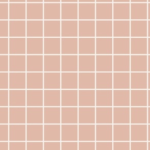 2 inch modern grid minimal aesthetic - Pink Villa
