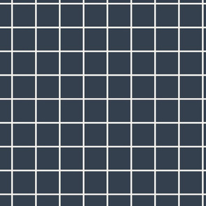 2 inch modern grid minimal aesthetic - Navy