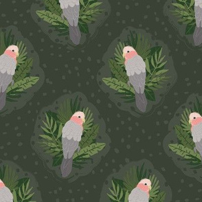 cockatoo green