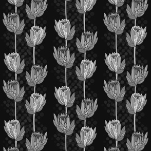 Protea Trails - greyscale on black, medium
