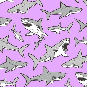 Sharks Shark Grey on Bright Lavender