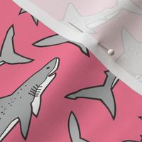 Sharks Shark Grey on Warm Pink