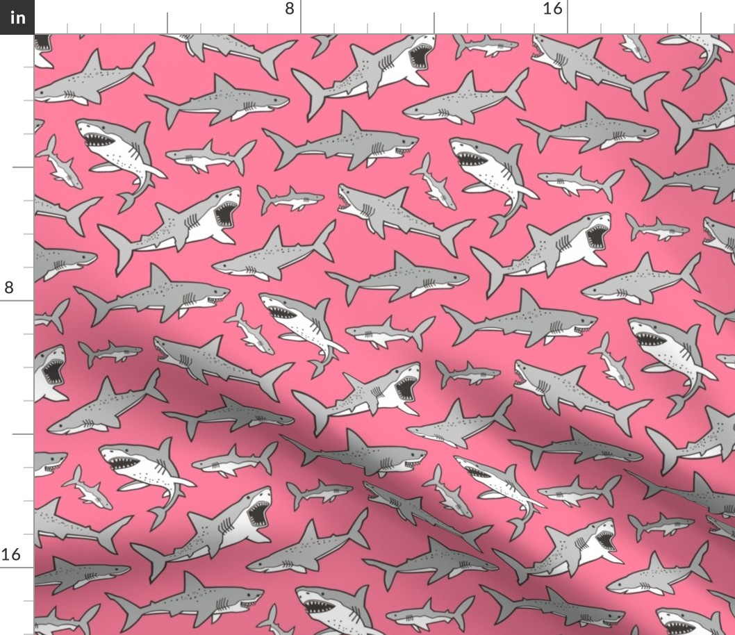 Sharks Shark Grey on Warm Pink