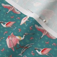 Roseate spoonbills deep turquoise 3x3