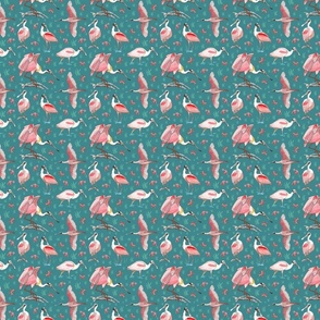 Roseate spoonbills deep turquoise 4x4