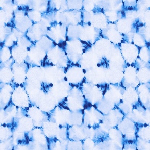 Blue white & shibori kaleidoscope