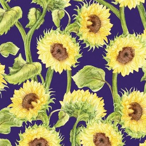 Kansas Sunflowers on Blue Violet
