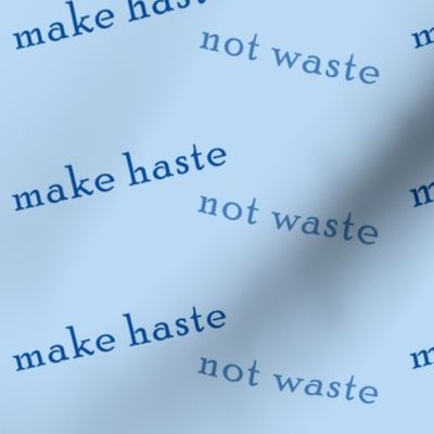 make_haste_not_waste_blue