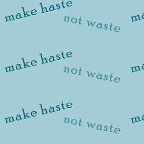 make_haste_not_waste_teal