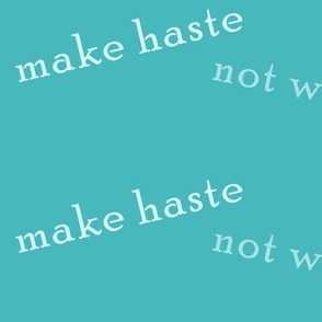 make_haste_not_waste_aqua