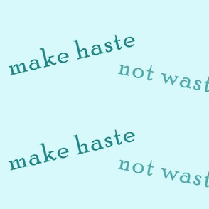 make_haste_not_waste_mint