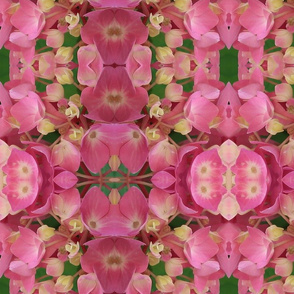 hydrangea pink green peach table runner tablecloth napkin placemat dining pillow duvet cover throw blanket curtain drape upholstery cushion duvet cover wallpaper fabric living decor