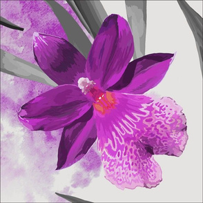 Purple Orchid Square Tile