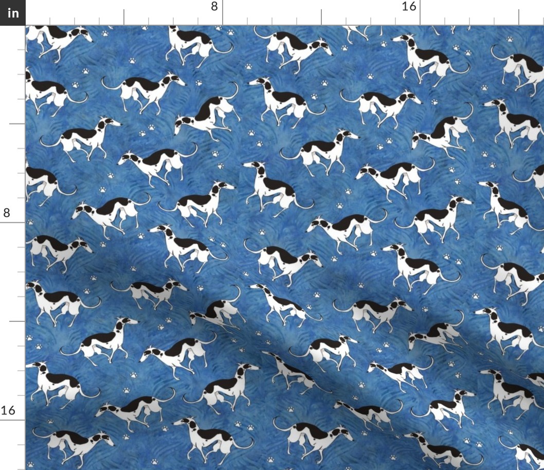 greyhound_dogs_on_blue