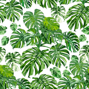 green variegated jungles
