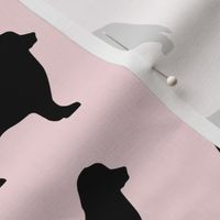Bernese Dog Silhouette Pink
